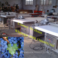 Automatische Blaubeersortiermaschine / Strawberry Sorting Weighting Packing Line